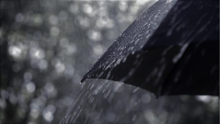 Bajo el paraguas: meditando en días lluviosos