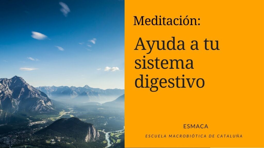 Meditación & Mindfulness Meditación ayuda a tu sistema digestivo.