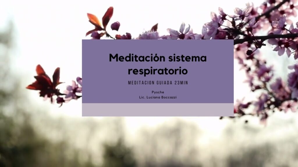 Meditación & Mindfulness La portada de meditacion sistema respiratorio.