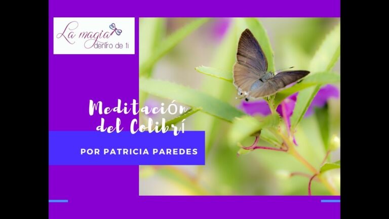 En compañía de mariposas: meditación en jardines vibrantes
