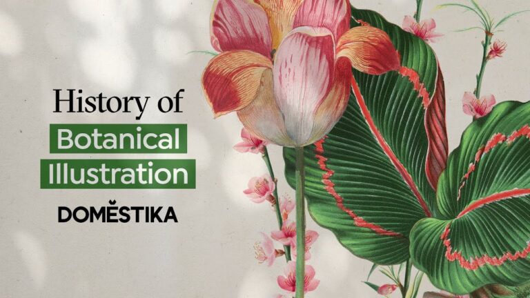 Inspiración en el estudio de botánica: plantas; dibujos y serenidad
