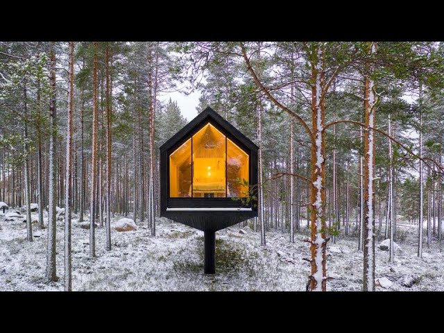 Inspiración en la cabaña del bosque nevado: aislamiento; blanco y quietud