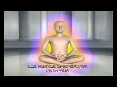 La técnica de meditación de la quietud total: una guía completa