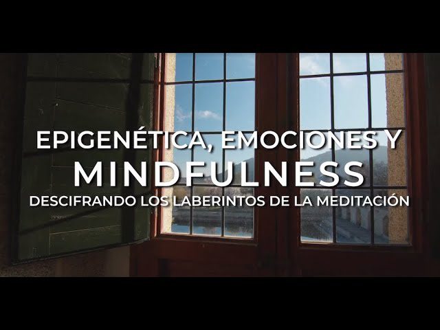 Laberintos de Pensamiento: Navegando con Mindfulness