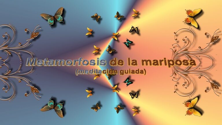 Meditación en el invernadero de mariposas: metamorfosis; aleteo y color