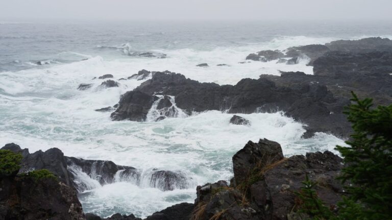 Meditando en el mirador del océano: olas; brisas salinas y vastedad