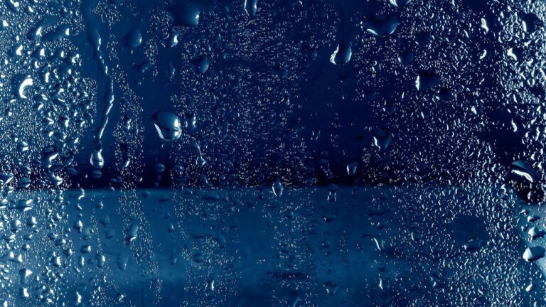 Sinfonía de la lluvia: meditando bajo aguaceros
