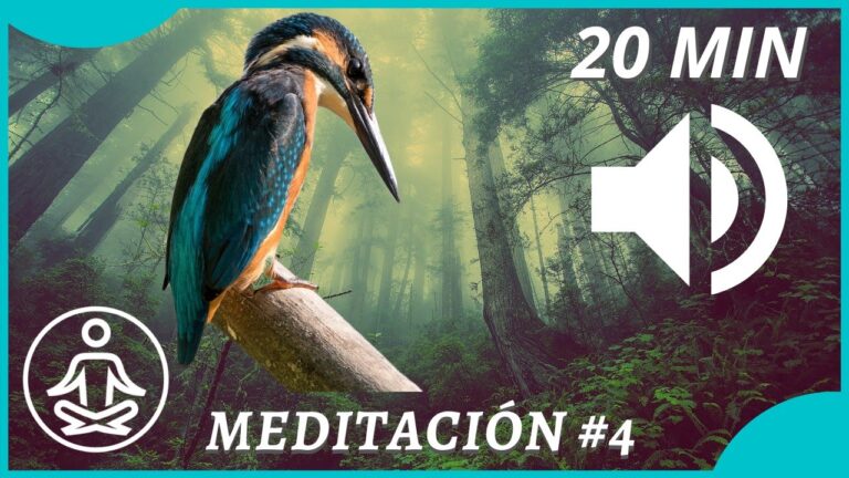 Meditación y santuarios de aves: Conexión con el canto alado