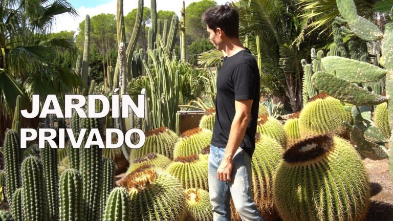 Meditando en el invernadero de cactus: espinas; resistencia y contemplación