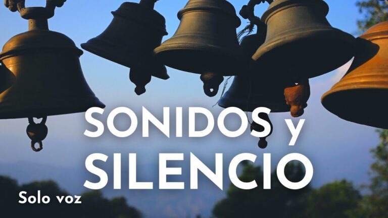 Notas del Silencio: Mindfulness en Meditaciones con Sonidos