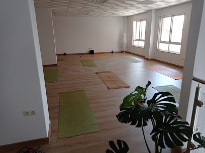 Mandala Estudio de Yoga: Descubre el Centro de Yoga que Transformará tu Bienestar