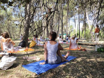 Aura Ioga: Descubre el centro de yoga más completo para equilibrar mente y cuerpo