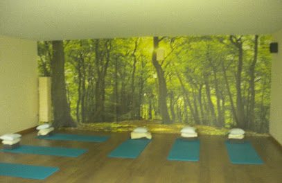 Lasai Bizi: Centro de yoga y meditación en Basauri | Encuentra la serenidad en nuestra escuela de yoga