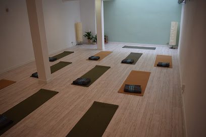 Yoga Raíz: Descubre el Centro de Yoga que transformará tu bienestar