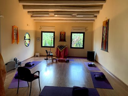 Sangha Activa: Descubre el Centro de Meditación líder en bienestar y equilibrio