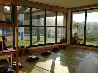 Parashakti Yoga Eskola Donostia: Descubre el mejor centro de yoga en San Sebastián