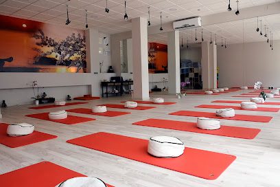 Centro de Yoga Lumiere Zen Garden: Descubre el equilibrio y bienestar en nuestra comunidad de yoga