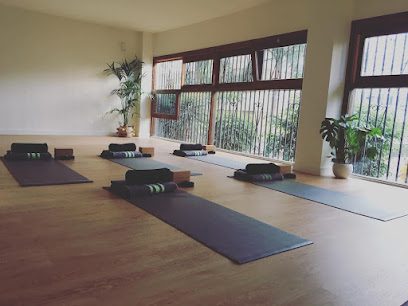 El Árbol Centro de Yoga Las Palmas: Descubre el equilibrio y bienestar en nuestro centro de yoga