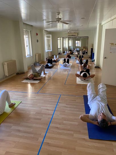 Yoga Solar: Descubre el mejor centro de yoga para revitalizar cuerpo y mente