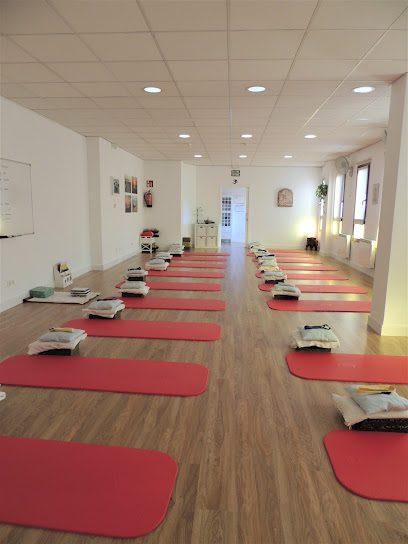 Izanyoga: Descubre los beneficios del yoga en nuestro centro especializado
