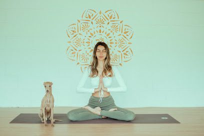 El Infante Yoga · Meditación · Terapias · Aranjuez: Descubre el mejor centro de yoga en tu ciudad