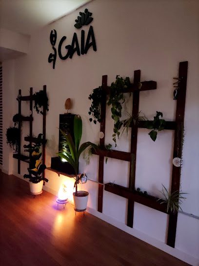 Descubre la paz y la armonía en Gaia Yoga, el mejor centro de yoga para encontrar la serenidad interior