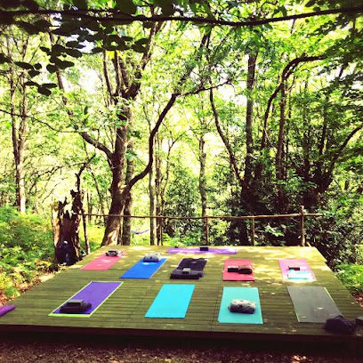 Bosque Escondido Arte: ¡Descubre el centro de yoga ideal para encontrar tu paz interior!