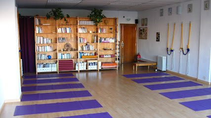 Centro de Yoga Anamaya: Descubre los beneficios del yoga en nuestro centro especializado
