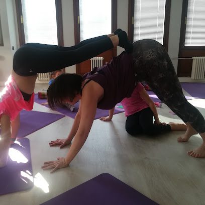 Shama Yoga Estudio: Descubre el centro de yoga en Madrid que transformará tu vida