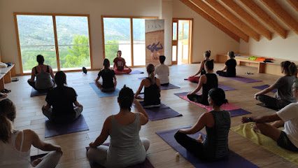 Yoga House Valencia: Descubre el mejor instructor/a de yoga en la ciudad
