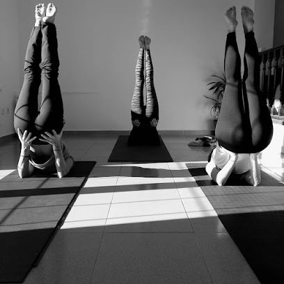 Delamanodelyoga: Descubre el mejor centro de yoga para encontrar equilibrio y bienestar