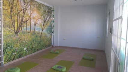 Asociación AlmmaEváditi: Tu Centro de Yoga para una vida equilibrada y saludable