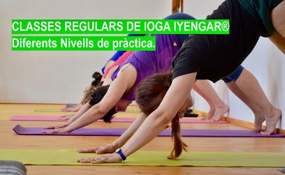 ioganoia.cat: Descubre el mejor centro de yoga en Barcelona para encontrar equilibrio y bienestar