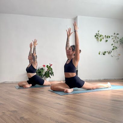 Evolve Yoga & Fitness Studio: Descubre el mejor centro de yoga para alcanzar tu bienestar