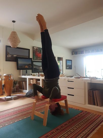Ohana Yoga: Descubre el mejor centro de yoga para equilibrar mente, cuerpo y alma