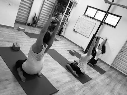 Zenhare YOGA Salamanca: Descubre el mejor centro de yoga para encontrar equilibrio y bienestar