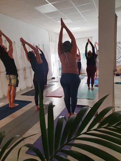 Vinyasa Yoga Estudio: Descubre el mejor centro de yoga para alcanzar el bienestar