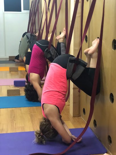 Fundació Lotus Blau Yoga: Descubre el centro de yoga que transformará tu vida