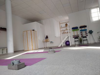 Shakti Yoga: Tu Centro de Yoga para encontrar equilibrio y bienestar