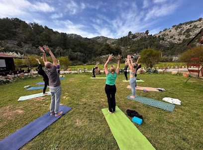 Natur Yoga Studio: Descubre el equilibrio y bienestar con nuestros expertos instructores de yoga